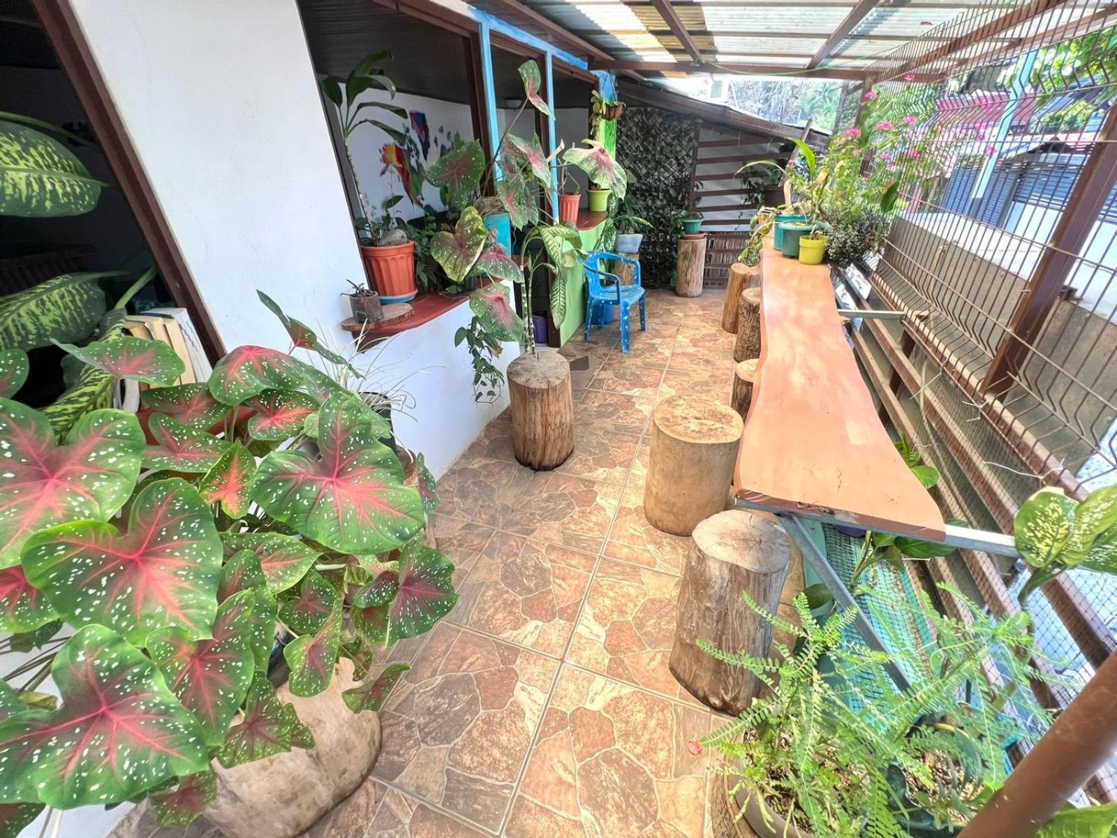 Cheap Hostel Quepos Dış mekan fotoğraf
